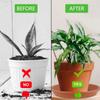 5Pcs Durable Plastic Plant Saucer 6/7/8/10 Inch Round Drip Plant Trays Flower Pot Indoor Outdoor Home Garden Supplies