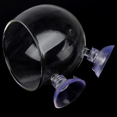 Mini Aquarium Glazen Pot Water Pot Waterplanten Cilinder Cup