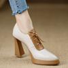 Single Shoes Fashion Deep Mouth Pu Leather Pointed High Heels Women's Color Matching 2025 Lace-up Waterproof Table Thick Heel Thick Sole New
