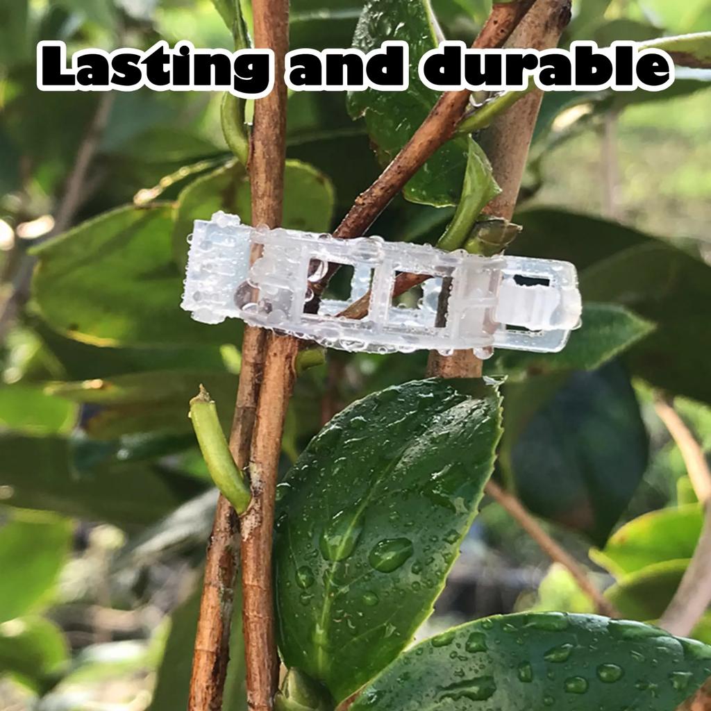 Plant Vine Clips 100pcs Adjustable Plant Support Clips for Securing Vines Seedlings and Stems Suitable for Garden and Greenhouse Use