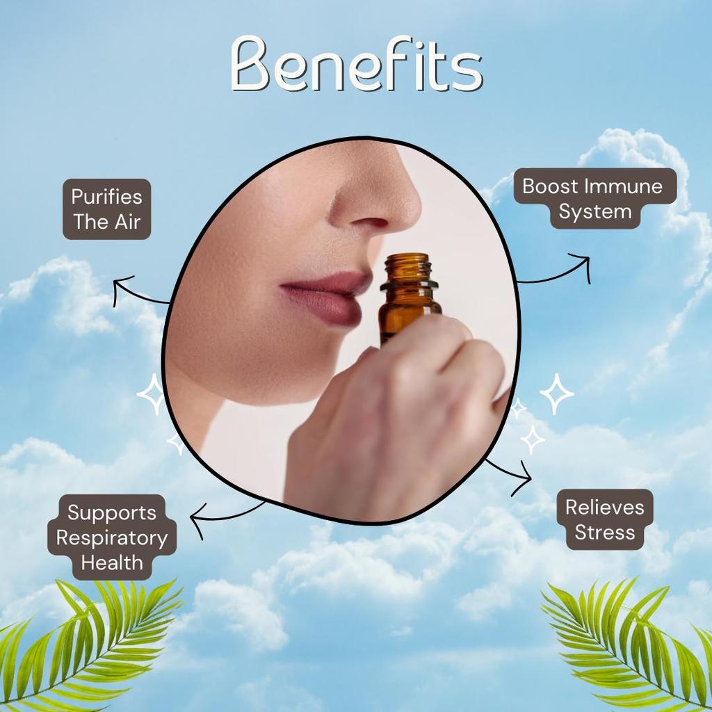 Heroot Clean Air Aromatherapy Combo | Lemon & Tea Tree Essential Oils