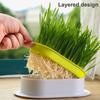 Cat Grass Planter Pet Cat Grass Digestion Growing Tray Cat Grass Box Plastic Nursery Plant Planting Box Hydroponic Pot Grow Box