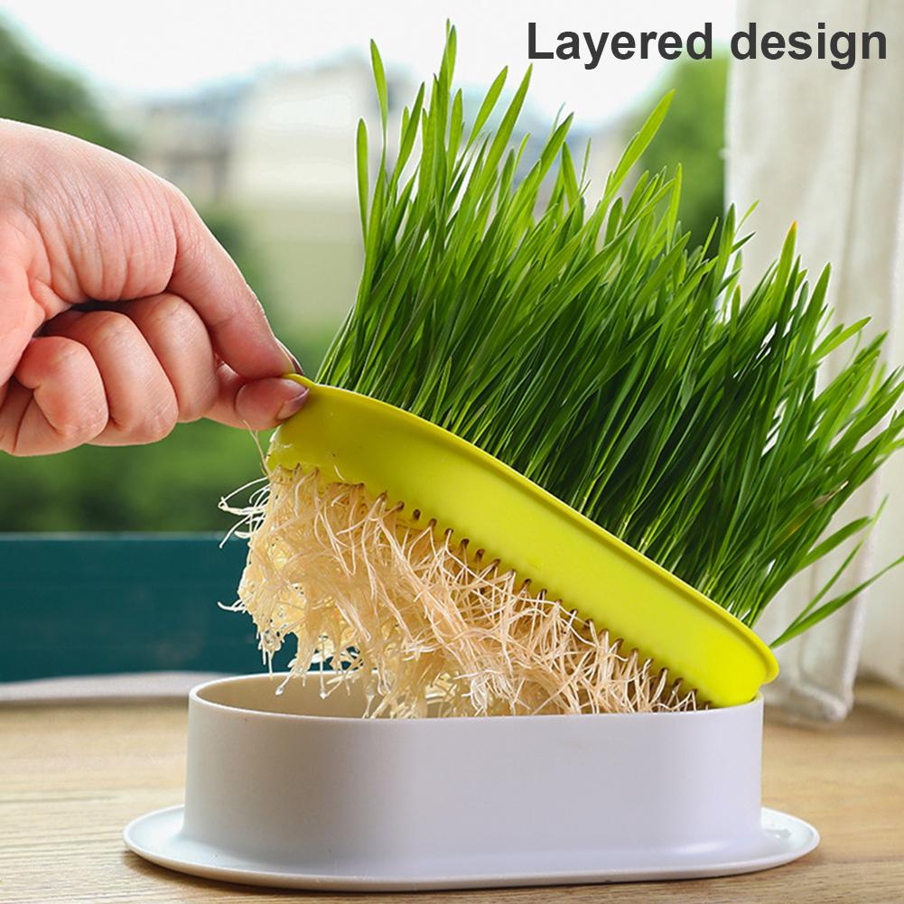 Cat Grass Planter Pet Cat Grass Digestion Growing Tray Cat Grass Box Plastic Nursery Plant Planting Box Hydroponic Pot Grow Box