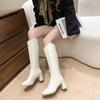 Fashion Autumn Winter Thick High Heels Women Knee High Boots Fashion Stretch Slim Modern Long Botas Para Mujer