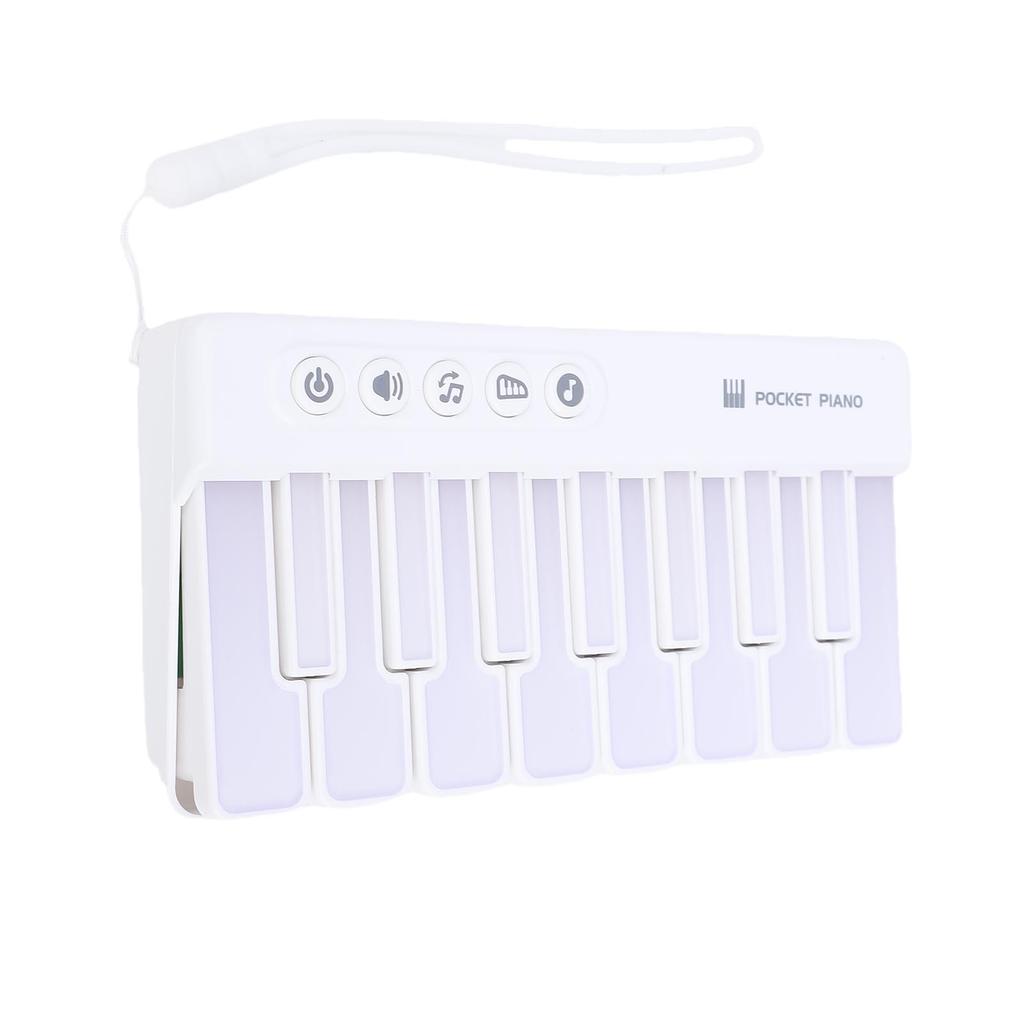Light Up Piano Keyboard Toy Music Interactive Toddler Musical Toy Battery Powered for 3 to 8 Years Old Kids