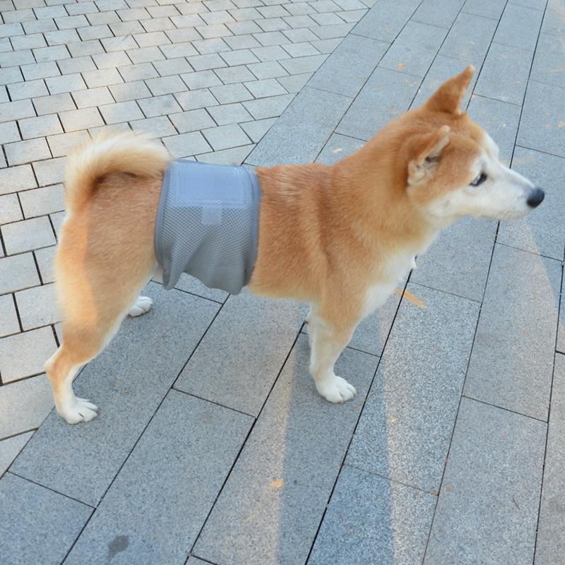 Male Dog Physiological Pants Solid Color Pet Politeness with Belt Anti Harassment Pants Dog Diaper