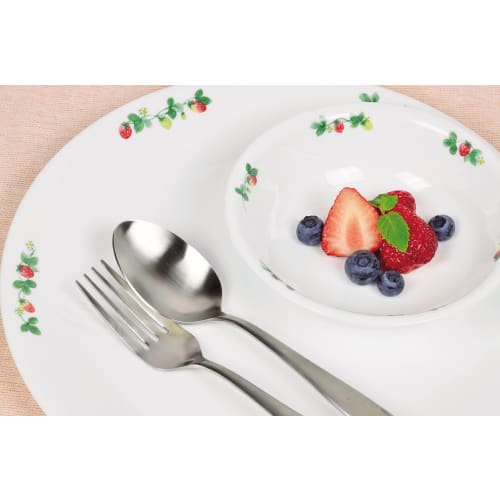 Corelle Coordinates 18-8 Stainless Steel Fork, Large, Satin Finish, Made In Japan, BC-4009
