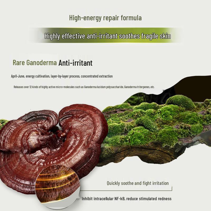 Origins Skincare Gift Sets