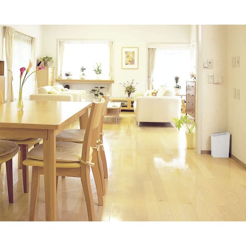 Shinki Gosei Tombo Toss Trash Can, 5.2 Liters, Gray, Simple Design, 13cm Wide x 22cm Deep x 30cm High, O-30, Made in Japan