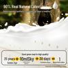 Natural Latex U-Shaped Travel Neck Pillow