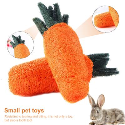 Pet Molar Toy Exquisite Teeth Cleaning Healthy Pet Rabbit Carrot Teeth Grinding Toys for Guinea Pig