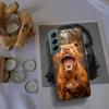 Pit Bull Lovely Pet Dog Pitbull Phone Case For Samsung Galaxy Note 20 Ultra 10 Lite 9 8 M12 M21 M30S M31 M32 M51 M52 S10 S9 S8 P
