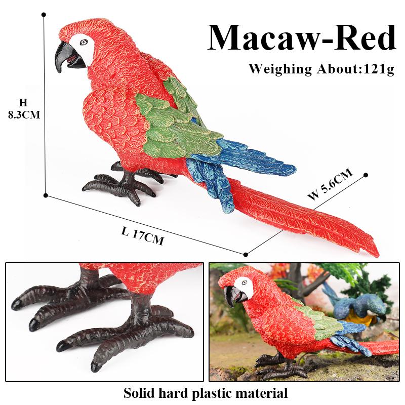 Oenux Bird Forest Animal Parrot Macaw Cockatiel Cockatoo Agapornis Puffin Model Solid PVC Garden Decoration Education Kids Toy
