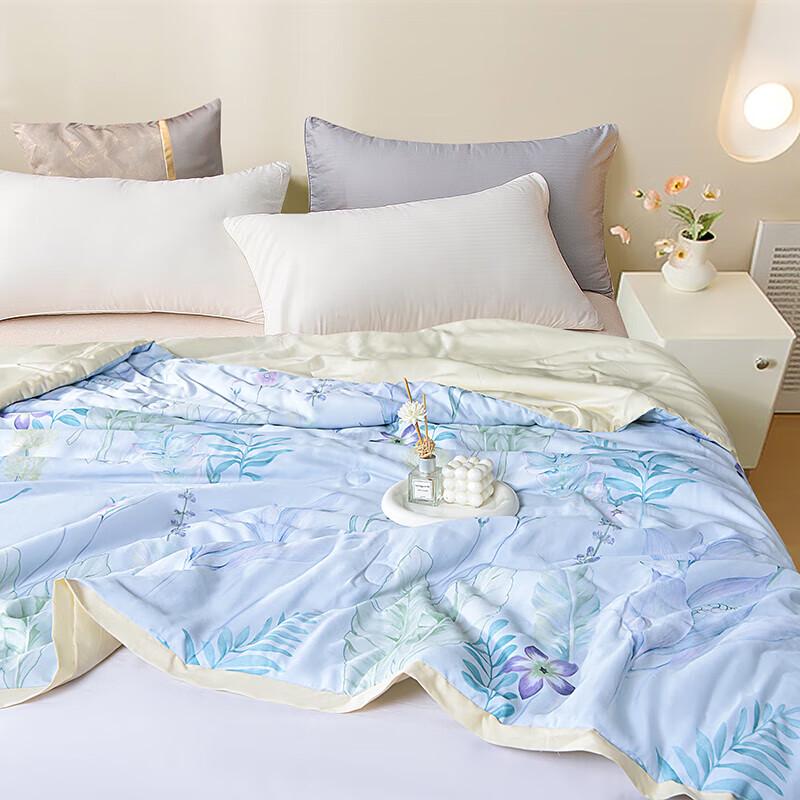 Jeliya Dream Jiangnan Tencel Summer Quilt
