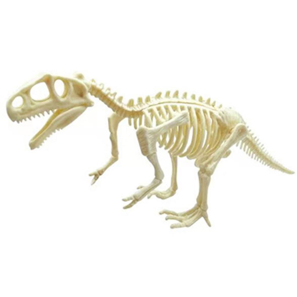 (SU)Динозавр Раскопки Kit Моделирование Археология Выкапывая ...