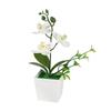 Decorative Ornaments Phalaenopsis Flowers Potted Artificial Flowers