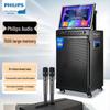 Philips SD289D Portable Karaoke Speaker CN Plug (adapter Included)