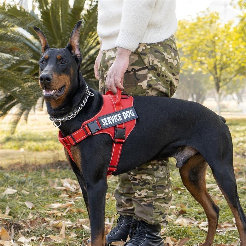 Reflective Anti-Pull Dog Harness With Hook And Loop Patch Panel