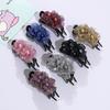 Korean Floral Three-Prong Duckbill Hair Clip for Women - Back of Head Styling Accessory
