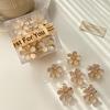 Mini Fiore Estivo Metallico Piccolo Clip a Pinza Nuovo Petalo Fermaglio per Capelli da Donna Clip per Frangia Clip Laterale per Capelli Accessori per Capelli Donna