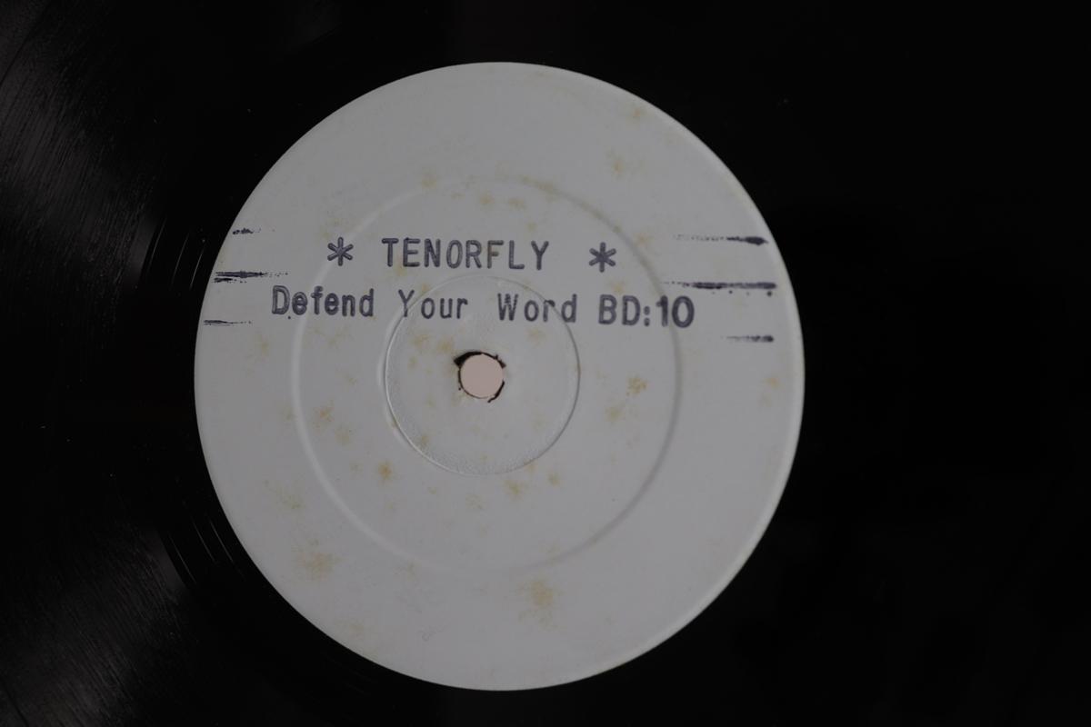 

12inch Record TENNA FLY RICHIE DAVIS Defend Your Word Jah Army BD10 NOT ON LABEL UK Reggae Ska Dub Used