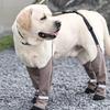 Antislip Pet Dog Booties Waterproof Dog Outdoor Booties Rain Shoes for Rainy Dog Foot Covers for Rainy