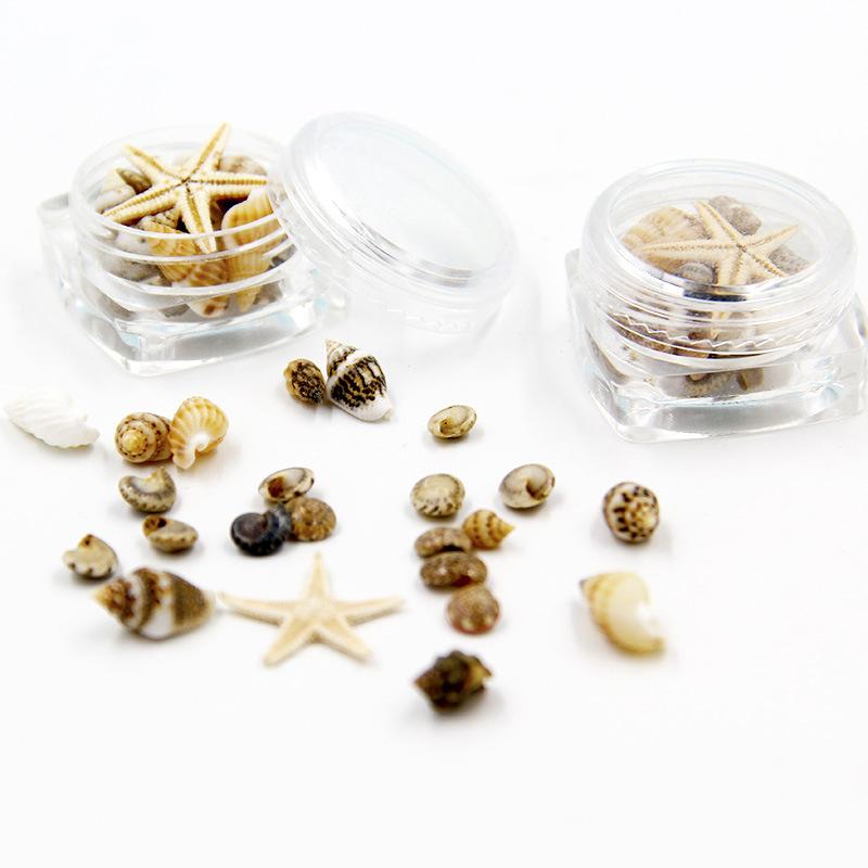 Muschel-Nagelzubehör Unregelmäßige Natürliche Muschel-Nagelzubehör Tragen von Rüstungs-Schmuck Dekorationsmaterialpaket DIY