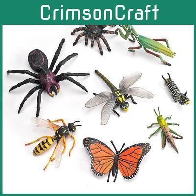Objets de collection et modèles réduits – Modèles