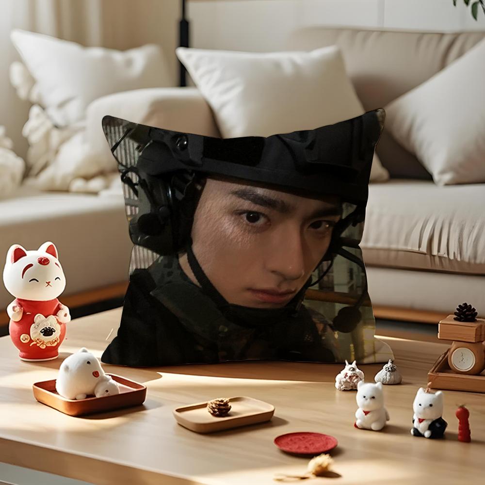 LinYi Chinese Actor Cushion Cover Anti-dustmite Pillowcase Invisible Zipper Silky Short Plush Sofa Cushion Cover