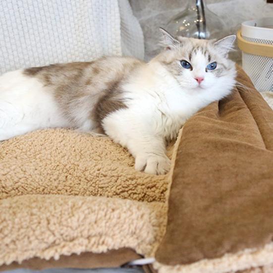 Pet Blanket Multifunctional Foldable Corduroy Warm Soft Cat Bed Mat for Dog