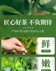 Jasmine tea with strong aroma from Heng County, Guangxi. Large portion bagged 500g self drinking staple tea
