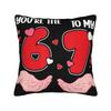 Youre The 6 To My 7 Valentines Day 67 Meme 6 7 Pillowcases  Novelty Pillow Case For Sofa Home Decor Comfy Pillow Cover