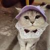 Tie Dye Pet Hat With Ear Hole Round Brim Dog Puppy Cat Sun Hat Bucket Hat Pet Decorative Accessories