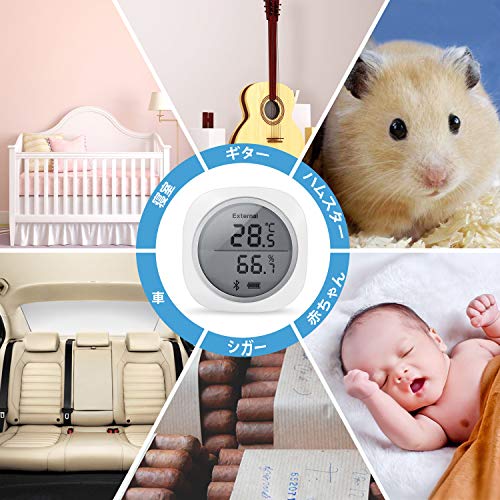 Inkbird Thermometer/Hygrometer, Bluetooth-Enabled Data Logger, Digital Thermometer/Hygrometer, Smartphone Temperature and Humidity Management, Graph R