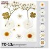 Handmade Pressed Flower Bookmark and Epoxy Sticker Pack with Real Leaf and Plant Specimens for DIY Face Makeup.