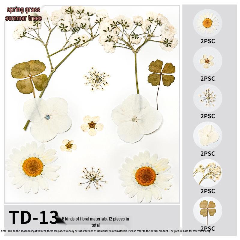 Handmade Pressed Flower Bookmark and Epoxy Sticker Pack with Real Leaf and Plant Specimens for DIY Face Makeup.