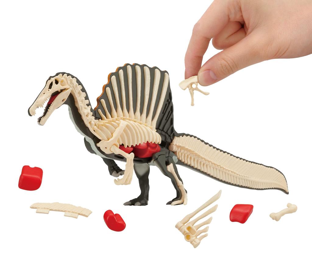 Spinosaurus Reconstruction Puzzle