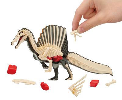 Spinosaurus Reconstruction Puzzle