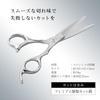 KAI Senkou Premium Hair Cutting Scissors All Stainless Steel Forged Smooth Cutting HC3556