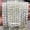 Jingde Jewelry Natural Horse Hoof Snail Shell Beads - Barrel & Loose Beads for DIY Jewelry Accessories