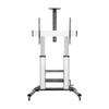 Aisens Aisens Ft100te-125 Tilting Floor Stand with Wheels and Crank for TV 60-100'/ Up To 100kg