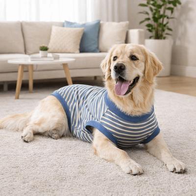 Casual Style Striped Dog Sterilization Suit Warm Washable Fleece Anti-Licking Vest Comfortable Dog Four Legged Vest Female Spay