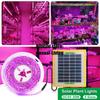 Panou solar cu LED-uri pentru creșterea spectrului complet 20W 5V bandă luminoasă pentru creșterea 2835 lămpi LED fito pentru plante cu efect de seră în creștere hidroponică
