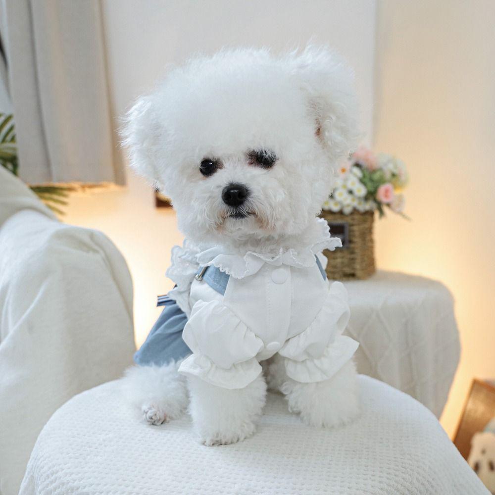 Reusable Pet Denim Dress With Bow Pet Skirt Soft Dog Denim Skirt Outing