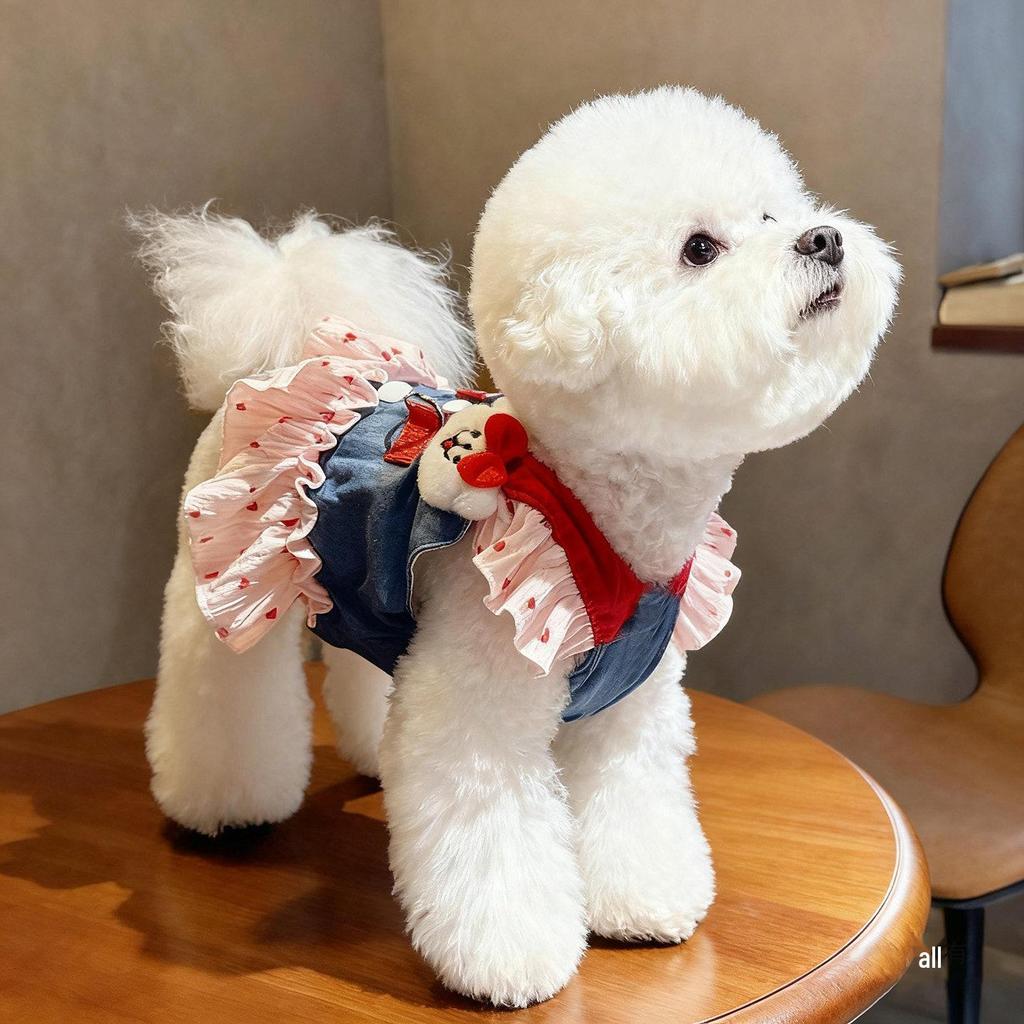Denim Teddy Bichon Puppy Clothes for Small Dogs - Cute Leashed Harness, Autumn/Spring Style