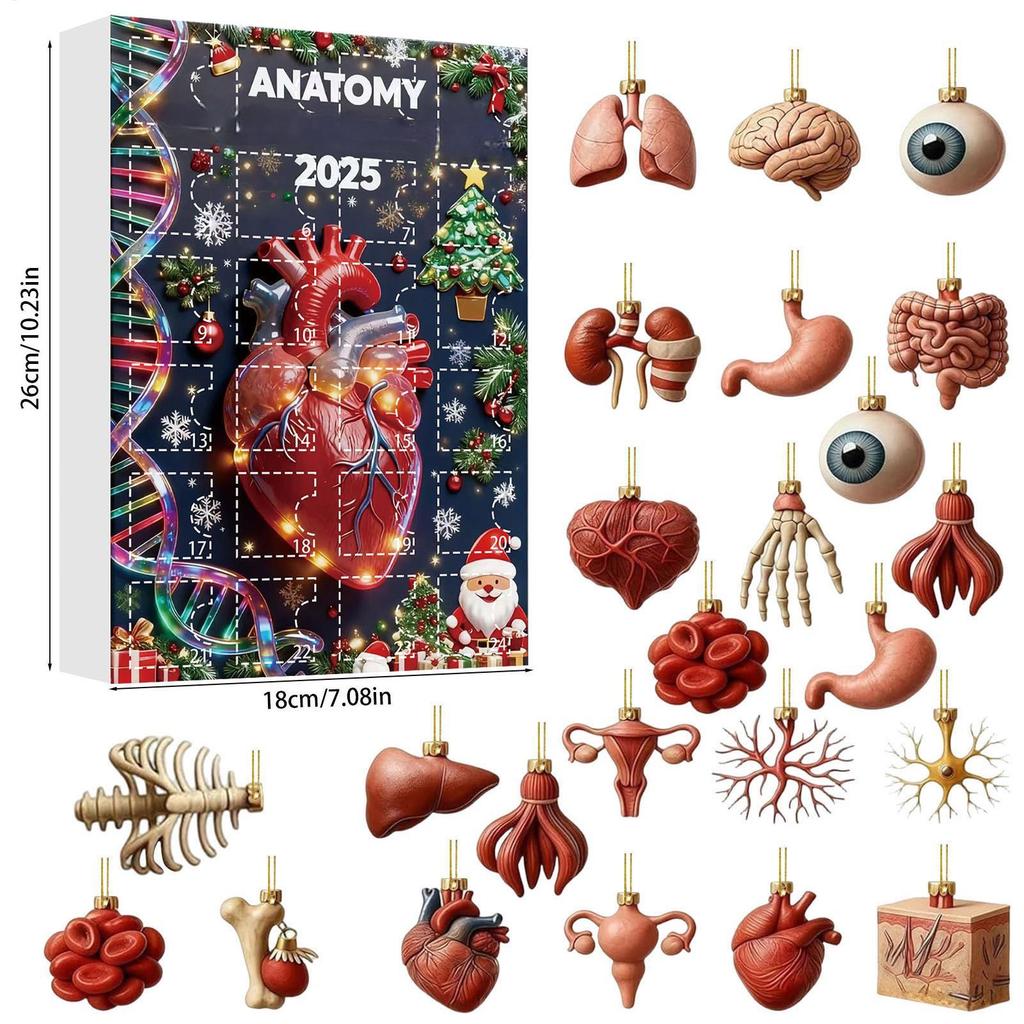 2025 Science Theme Advent Calendar 24 Days Countdown Decorations Christmas Tree Pendants Ornaments Doctor Gift Home Decor
