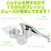 Hirosho Stainless Steel Hand Juicer HJ-01