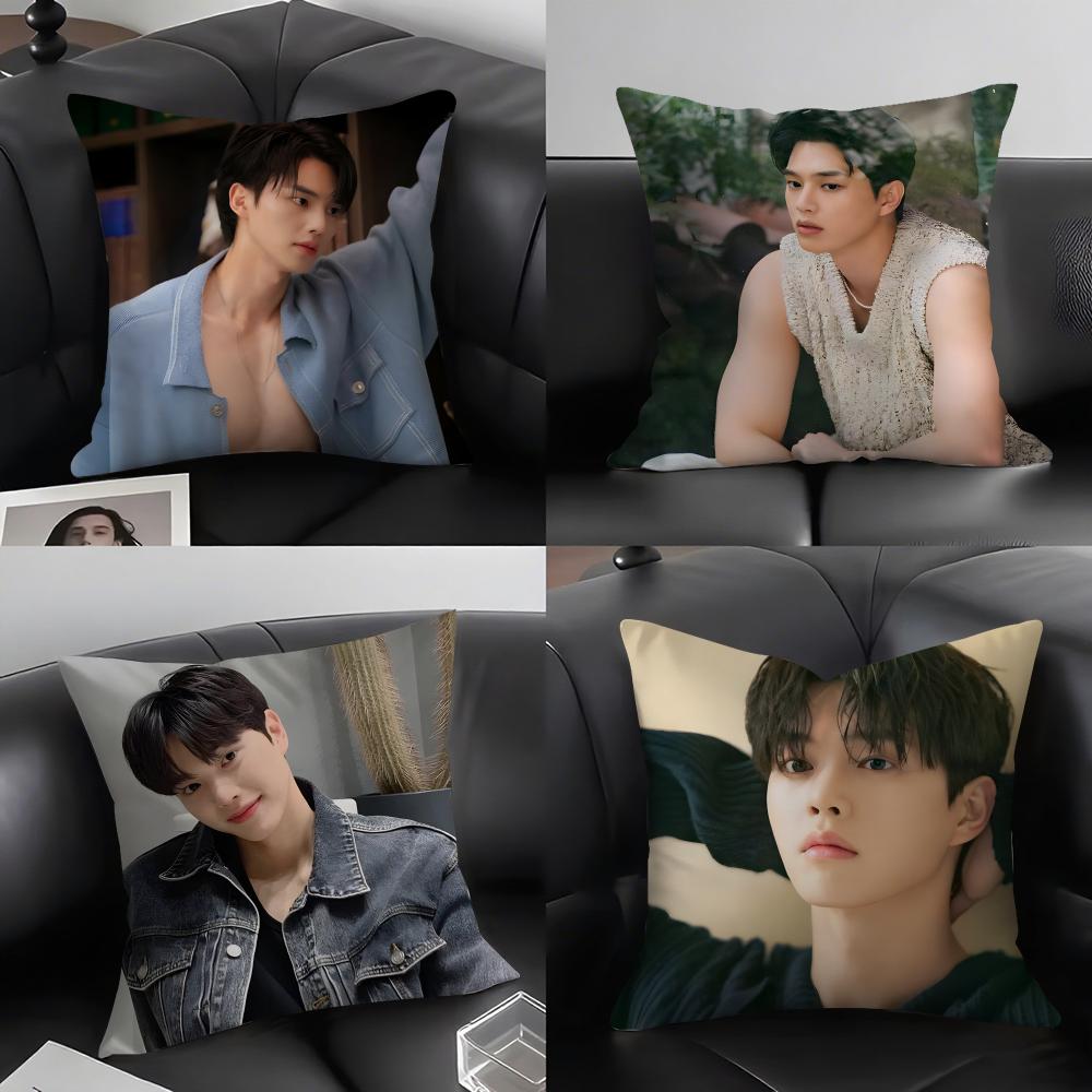 SSong KanGg Actor Cushion Cover Pillowcase Ultra Soft Skin Friendly Fabric Cloud Like Comfort Concealed Zipper