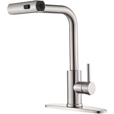 304 Stainless Steel Pull-Out Kitchen Faucet with Rain Spray
