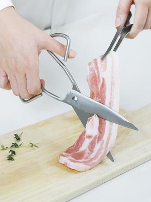 Reborn. J Mudita All-Stainless Steel Kitchen Scissors 21cm / Meat Scissors, Camping Scissors, Stainless Steel Scissors